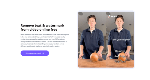 image of Remover.video