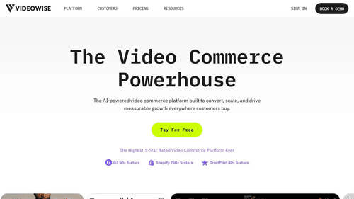 image of Videowise